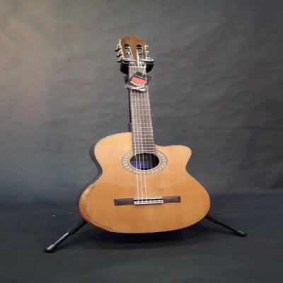 گیتار کلاسیک Santos Hernandes Lvthier - donyayesaaz.com