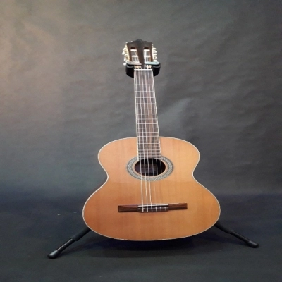 گیتار کلاسیک b&g مدل 4101 آکبند - donyayesaaz.com