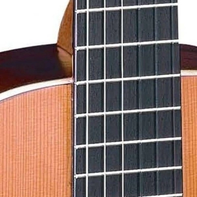 گیتار کلاسیک آلمانزا Almansa Cedro 401 آکبند