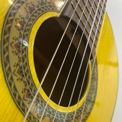 گیتار کلاسیک Martinez مارتینز f1018 آکبند