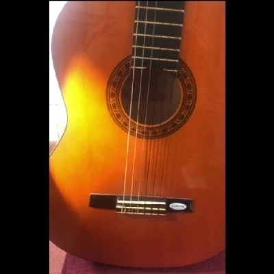 گیتار کلاسیک والنسیا مدل valencia CG160