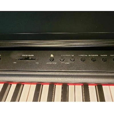 پیانو دیجیتال پرل ریور Pearl River مدل P60 آکبند