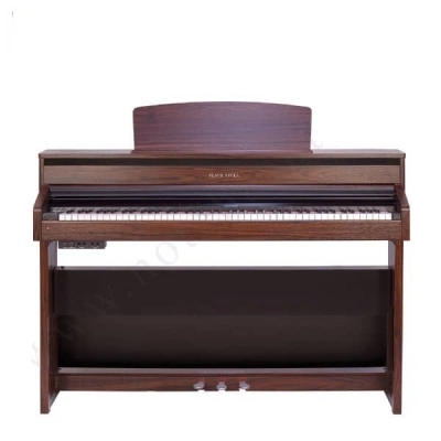 پیانو دیجیتال پرل ریور pearl river مدل F53 آکبند - donyayesaaz.com