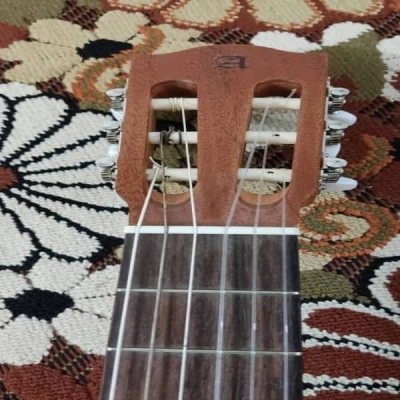 گیتار کلاسیک الحمبرا مدل Alhambra Z NATURE