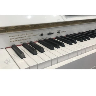پیانو دیجیتال لوترا LOOTRA طرح آکوستیک یاماها Yamaha UP75 آکبند