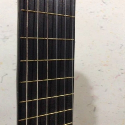 گیتار کلاسیک والنسیا valencia CG160