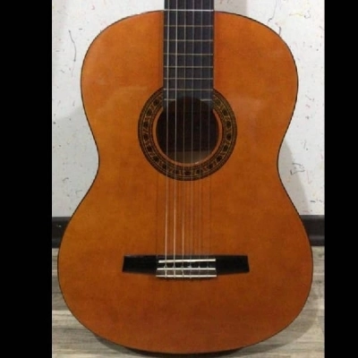 گیتار کلاسیک والنسیا valencia CG160