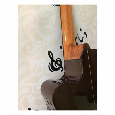 گیتار کلاسیک الحمبرا Alhambra 3C CW E1 آکبند