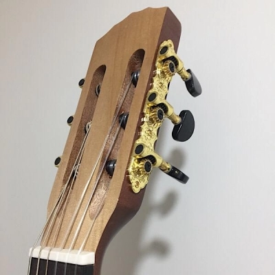 گیتار کلاسیک پیکاپ دار Giannini جیانینی مدل cg200 آکبند