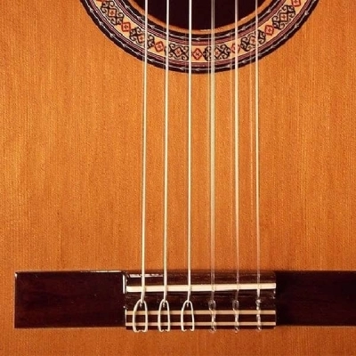 گیتار کلاسیک آلمانزا Almansa Cedro 401 آکبند