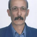 محمدرضا گرگین‌زاده